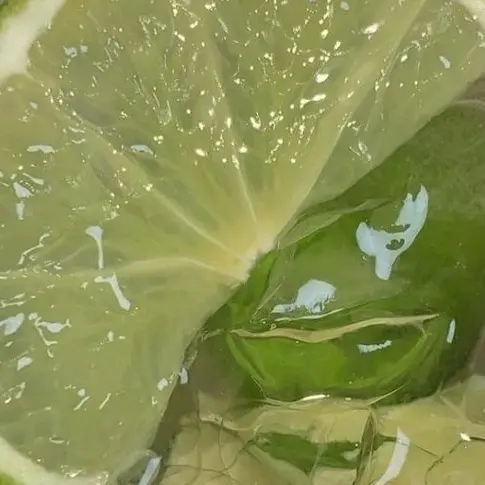 eight_tulip의 정공룡