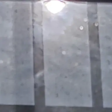 Profile image of 금성제부모님에 친구