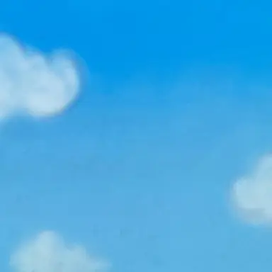 Profile image of 푸카시