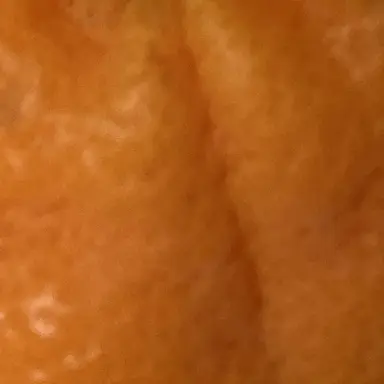 Profile image of 루거스