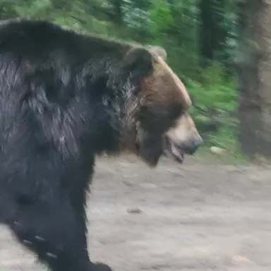 Profile image of 김주혁