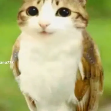 Profile image of 브레인롯 훔치기