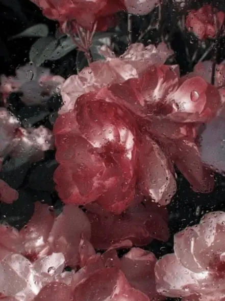 Spica___o0의 何で俺から離れるの…？