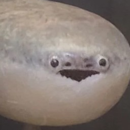 사카밤바스피스 대표 이미지