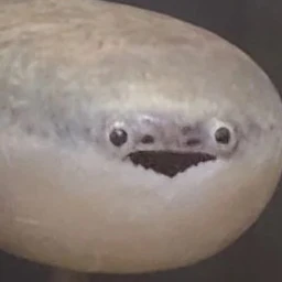 사카밤바스피스