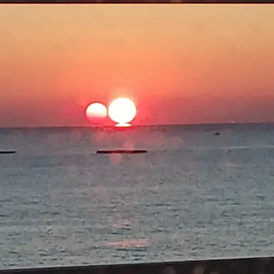 Profile image of 부모님