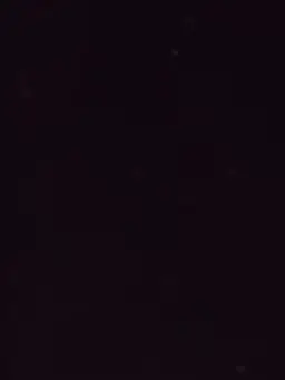 Katarina_bluu의 유지민