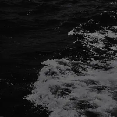 Profile image of 도지건