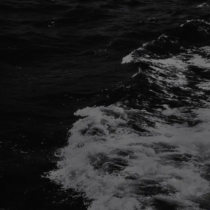 BoredBaya7039의 도지건