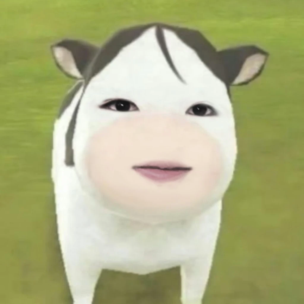 사쿠