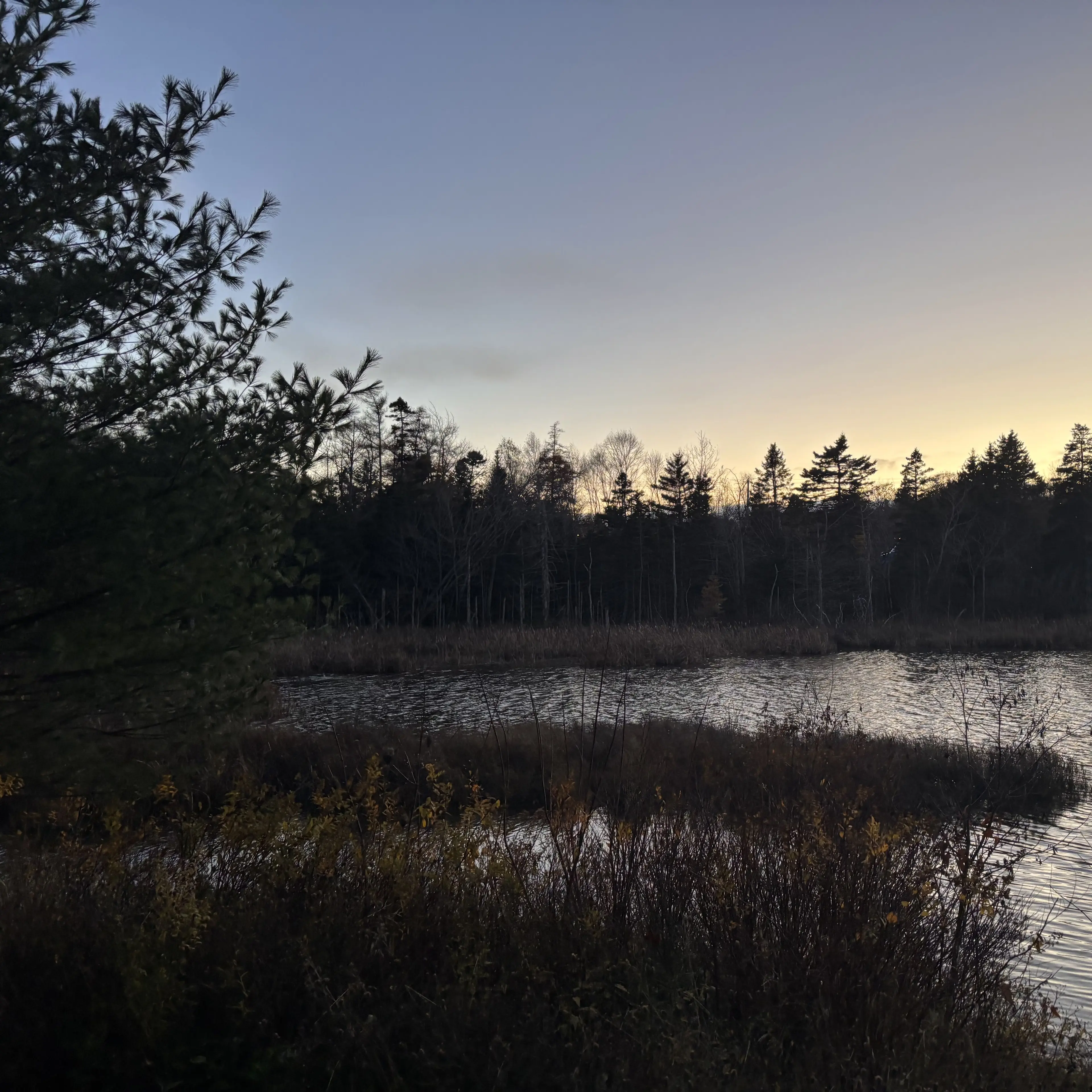 User101의 개인용