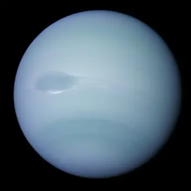 Profile image of 넵툰