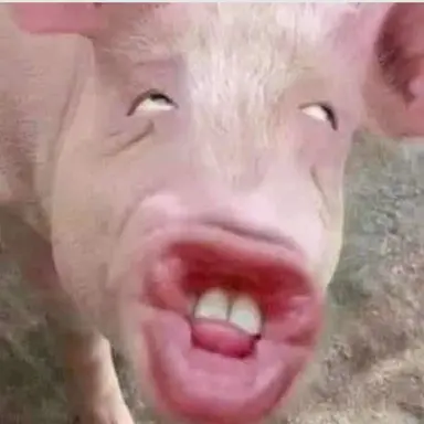 Profile image of 토토