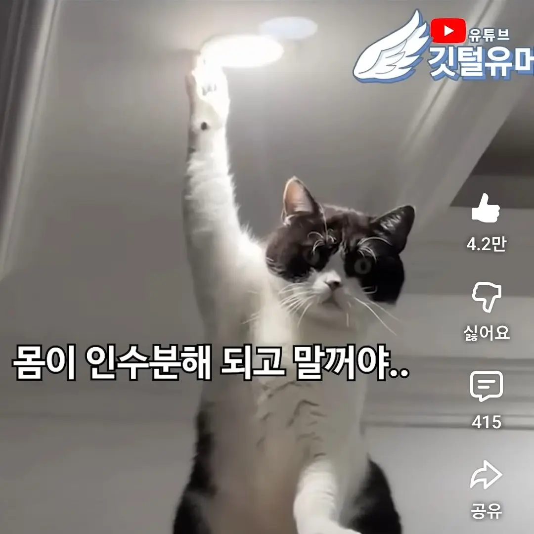 ItchySack3767의 깃털유머(원기옥편)