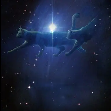 Profile image of Starclan