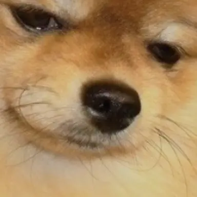 Profile image of ㄹ