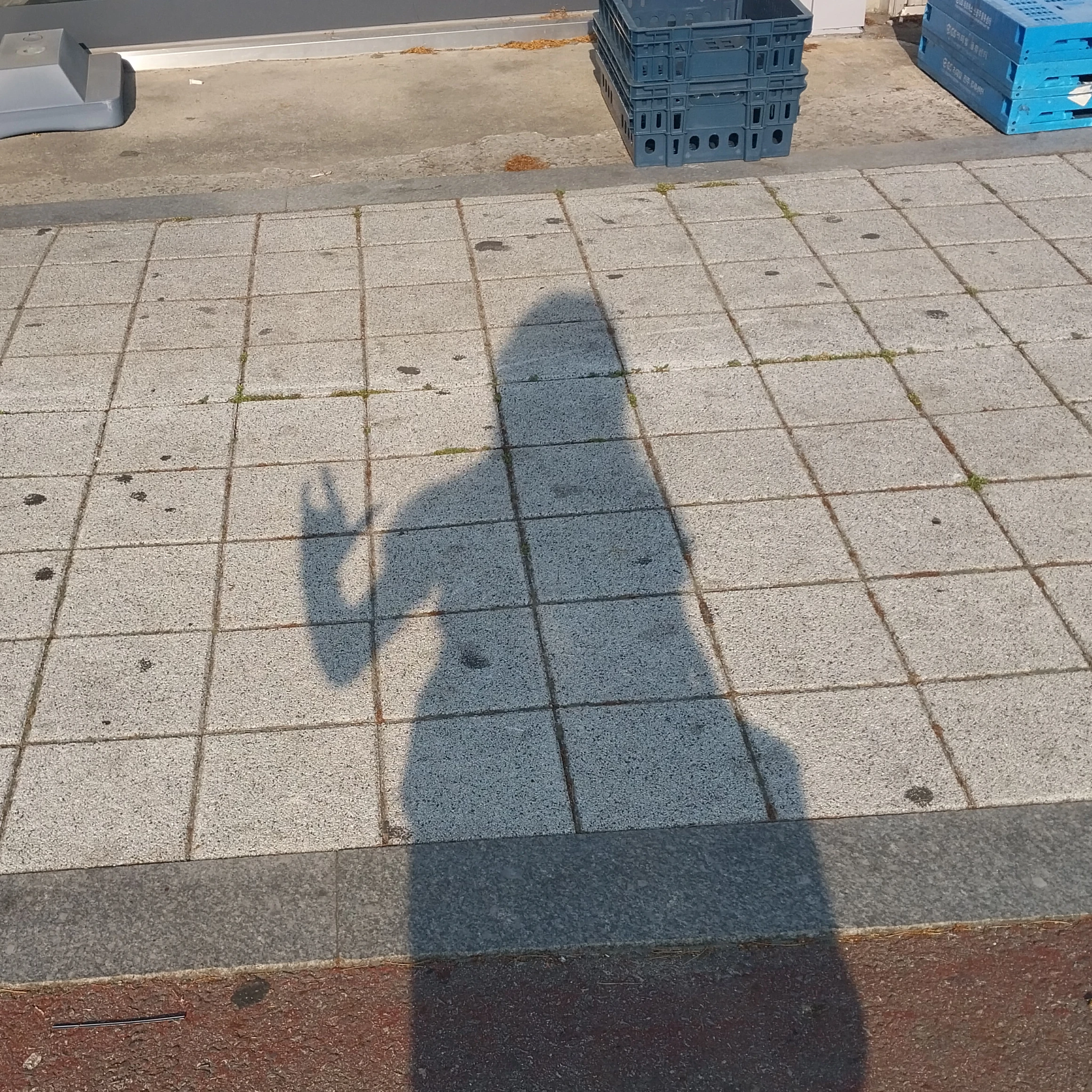 김도윤