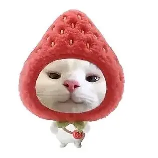 Profile image of 흑연 수인 학교