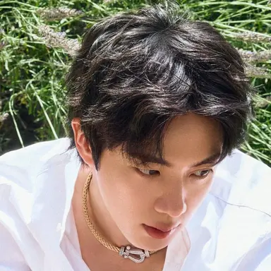 Profile image of Kim Seokjin