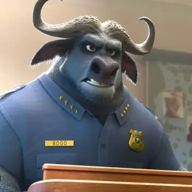 Profile image of 보고