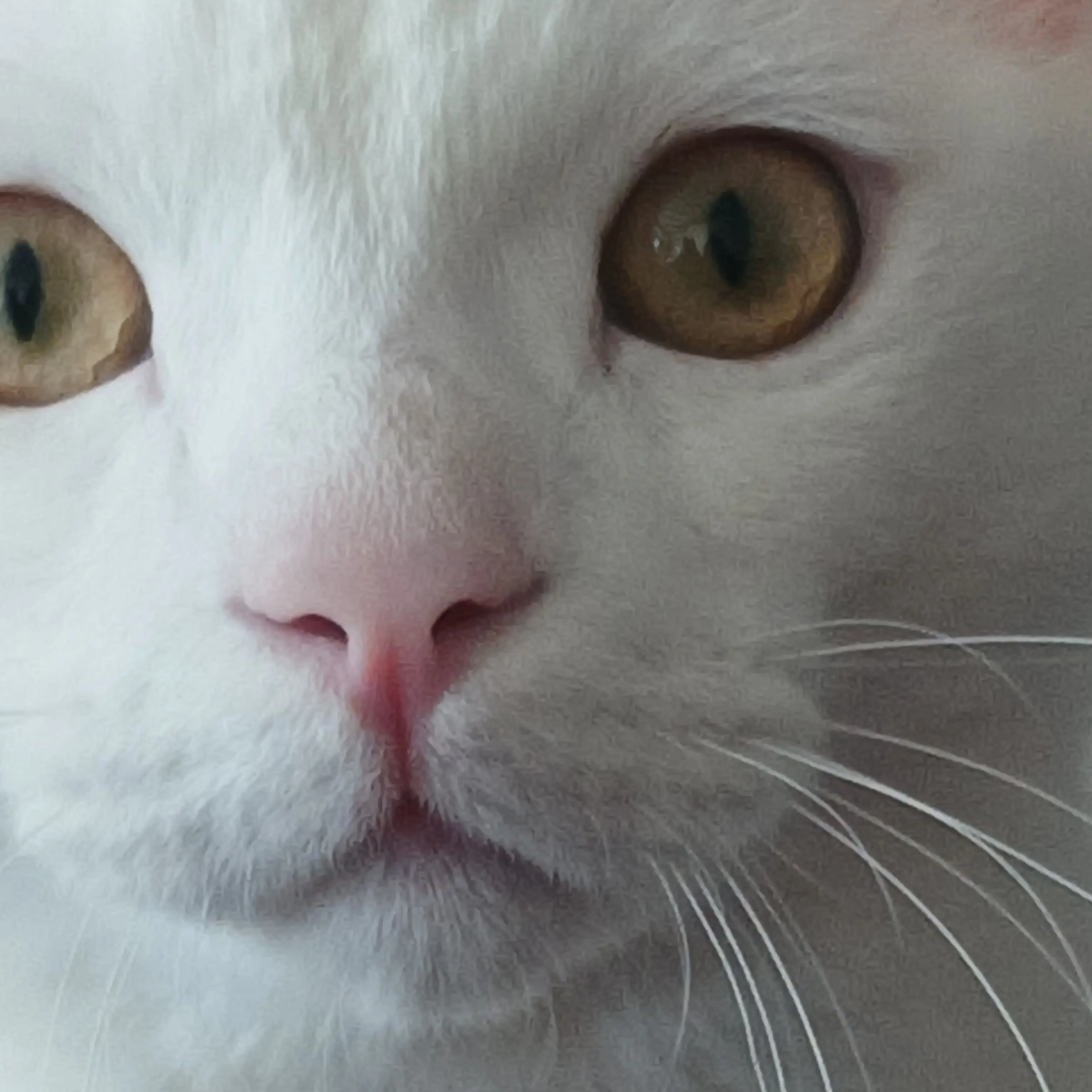 ClumsyDisk6612의 들어가 보세요~~~