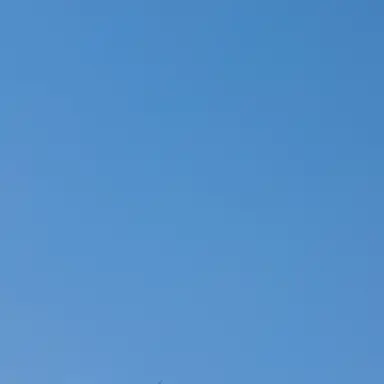 Profile image of 비서