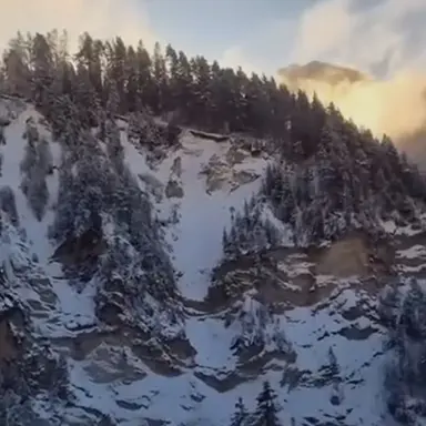 Profile image of 황수현