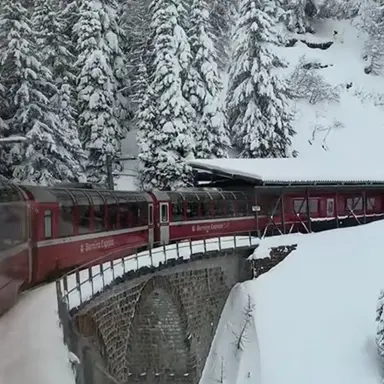 Profile image of 서 라더