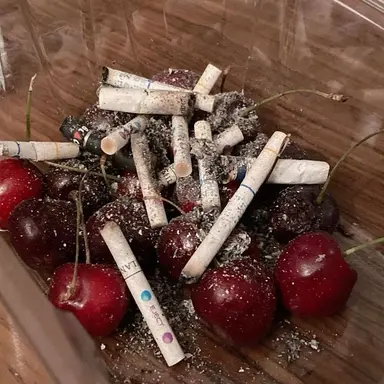 Profile image of 선우원