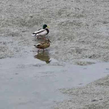 Profile image of 사생팬