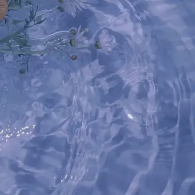 Profile image of 박영환