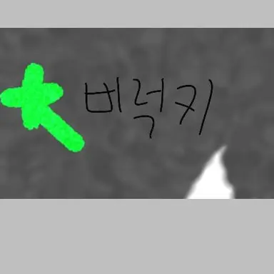 Profile image of 비럭키