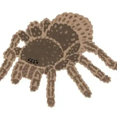 Profile image of タランチュラ