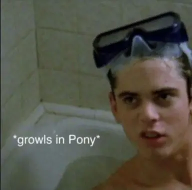 Profile image of Ponyboy Curtis