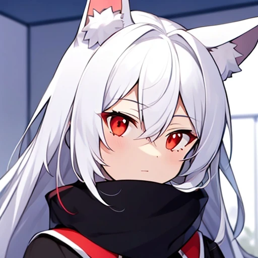 시연