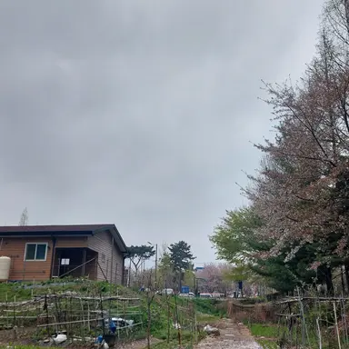 Profile image of 공룡