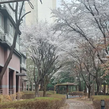 Profile image of 수현