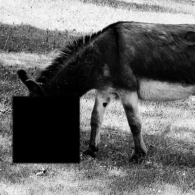 Profile image of Der Esel