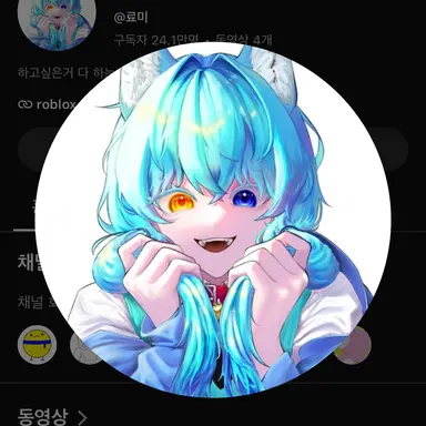 Profile image of 료미