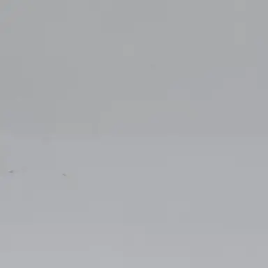 Profile image of 叶