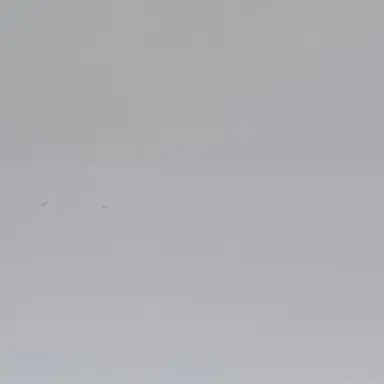 Profile image of 葛葉