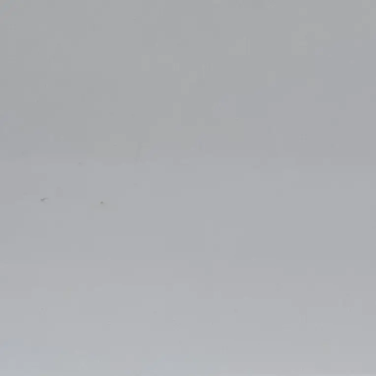 RunnySage0306의 ボールが落ちる瞬間まで