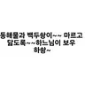 캐릭터 프로필 이미지