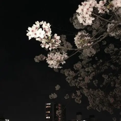 SaltyTruck7876의 우리의 이번생은 운명이 아닌것같네요