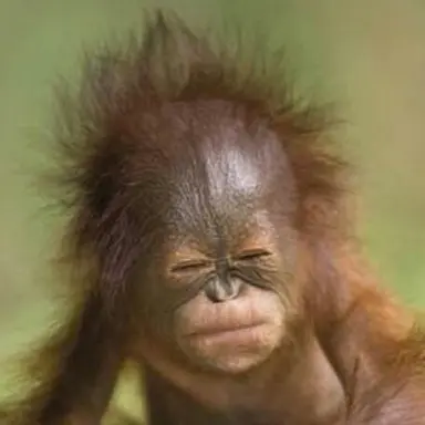 Profile image of 임준희