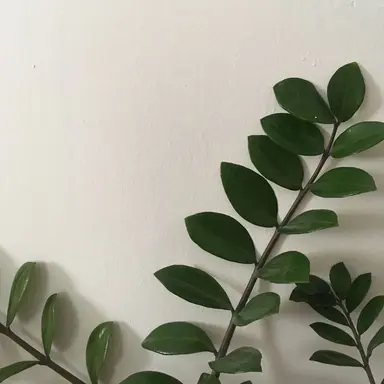 Profile image of 拓弥