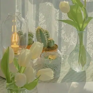 Profile image of 공주
