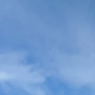 Profile image of しらす