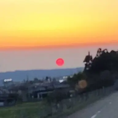 Profile image of 美紅