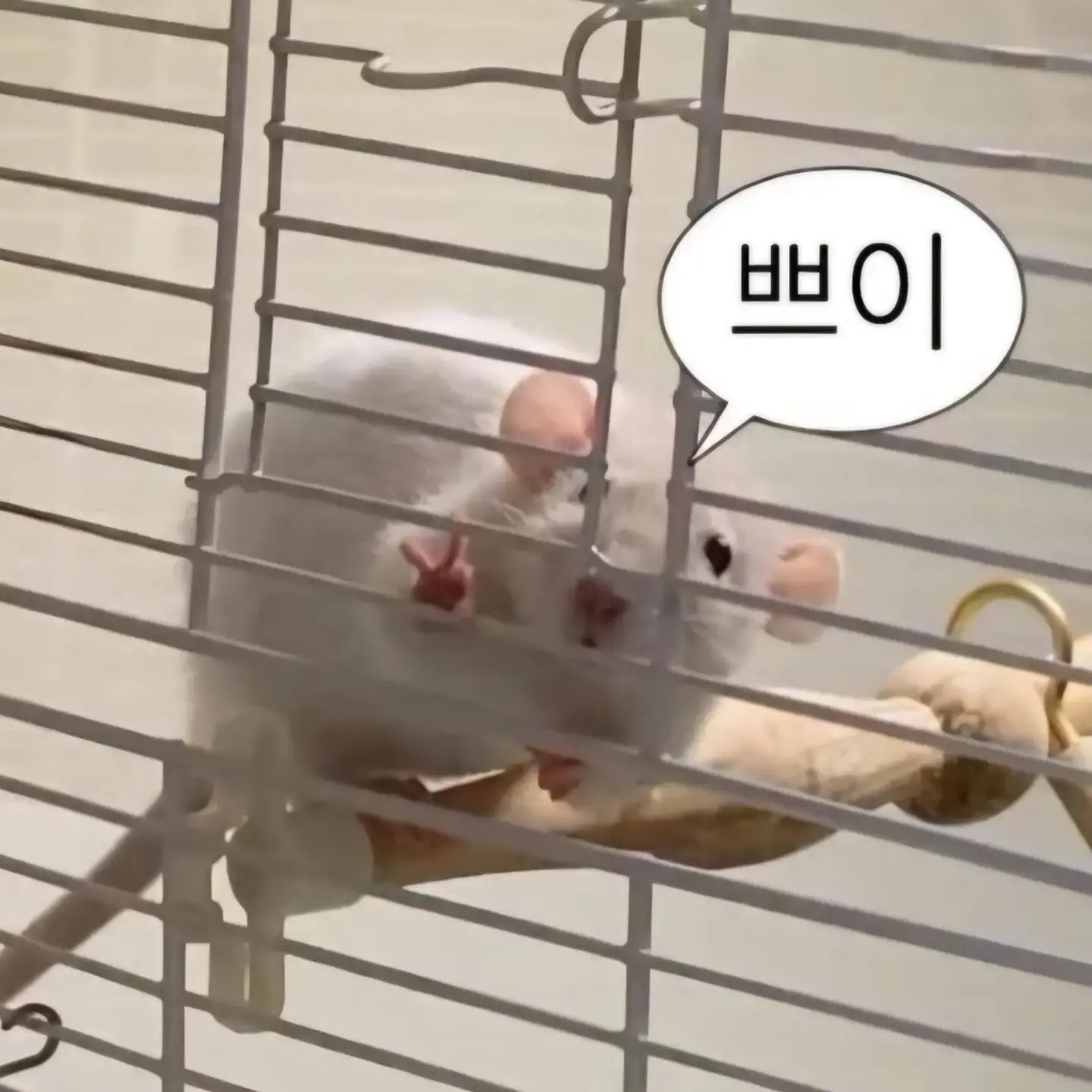 SweetWire6661의 김동현